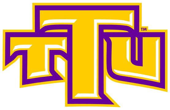 Tennessee Tech Golden Eagles 2006-Pres Alternate Logo v2 diy fabric transfers